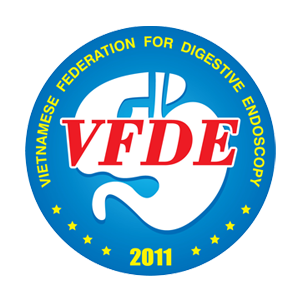 logo-vfde1